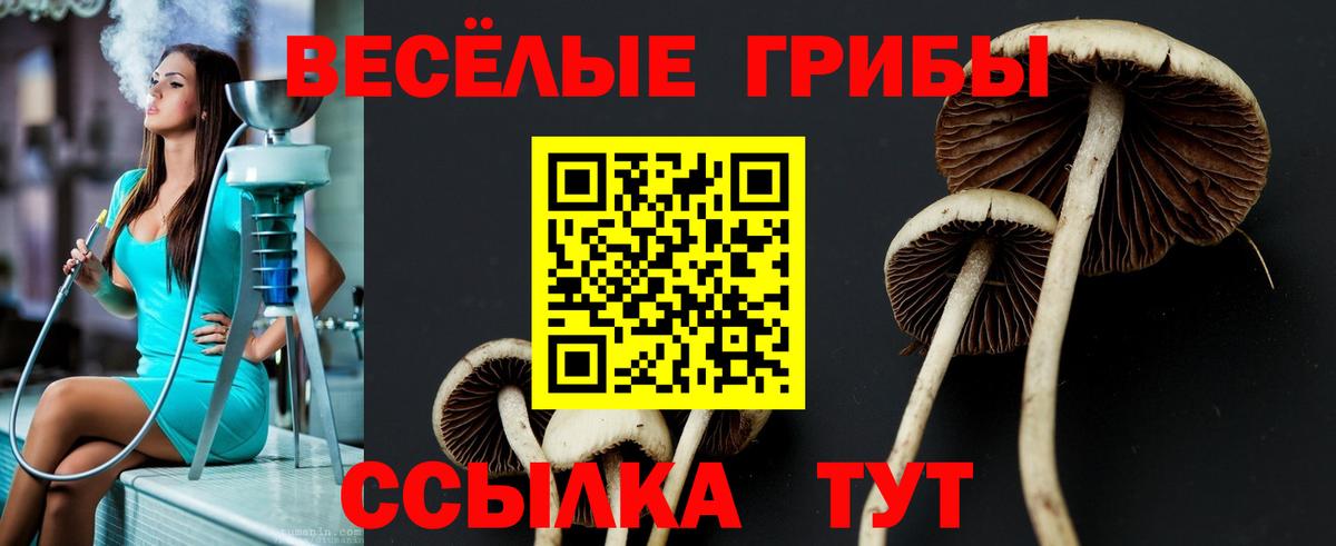 Псилоцибиновые грибы прущие грибы Гай