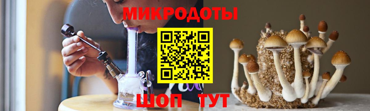 Гай  Псилоцибиновые грибы мухоморы  Вход с VPN 